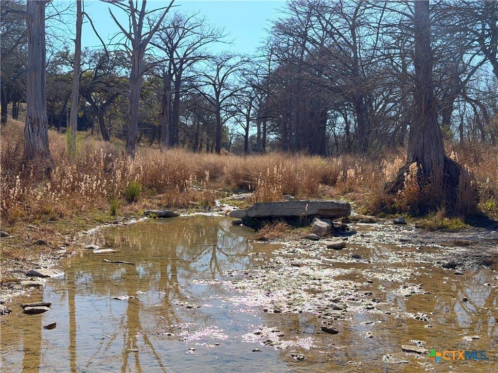 1.19 acres in Comal County - photo 18