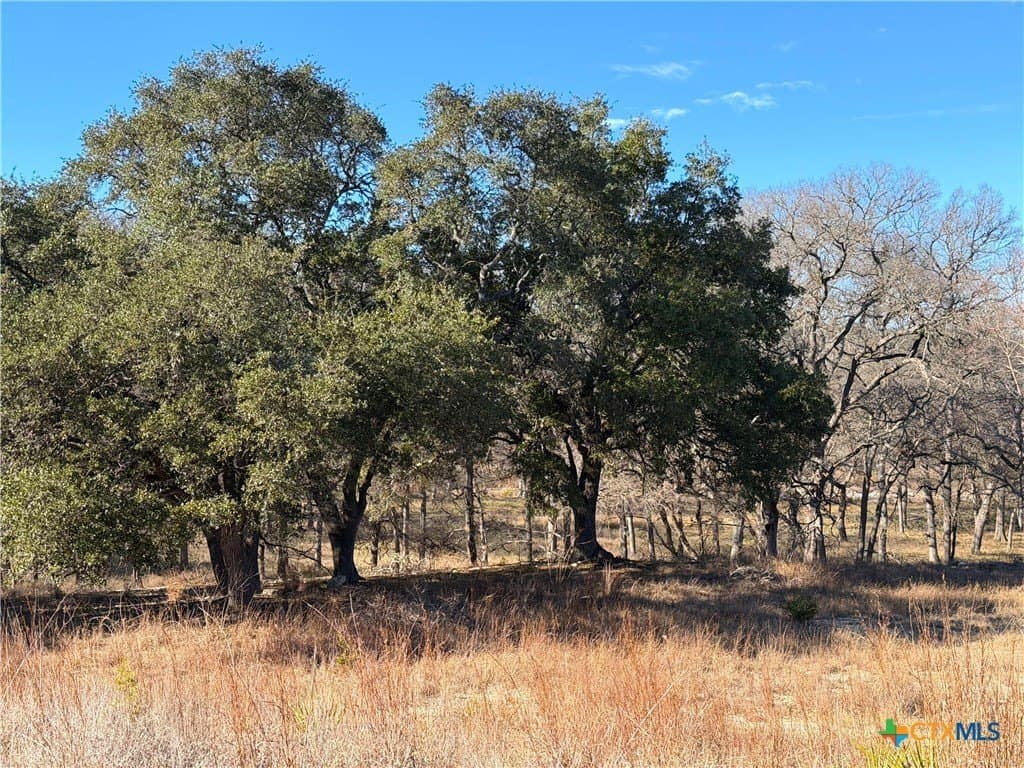 1.19 acres in Comal County - photo 16