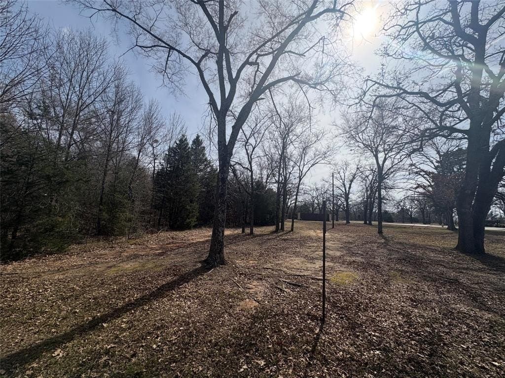 0.2 acres in Henderson County gallery image 3