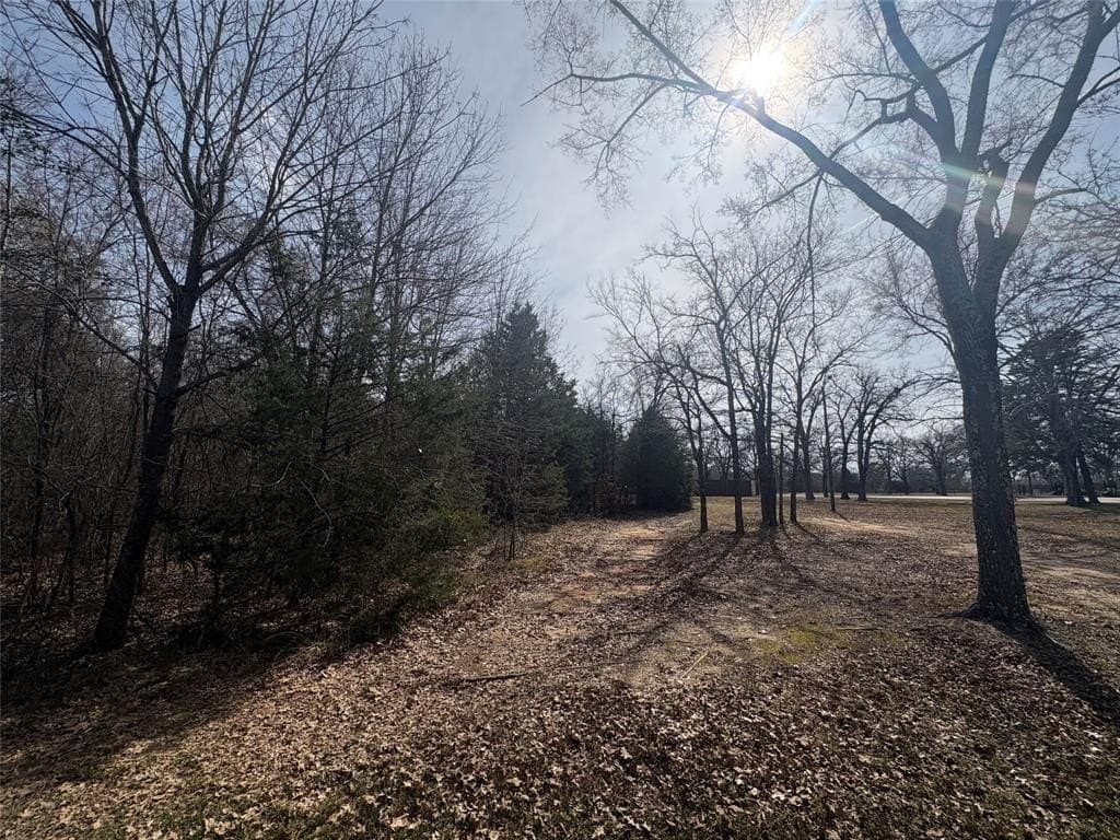 0.2 acres in Henderson County gallery image 4