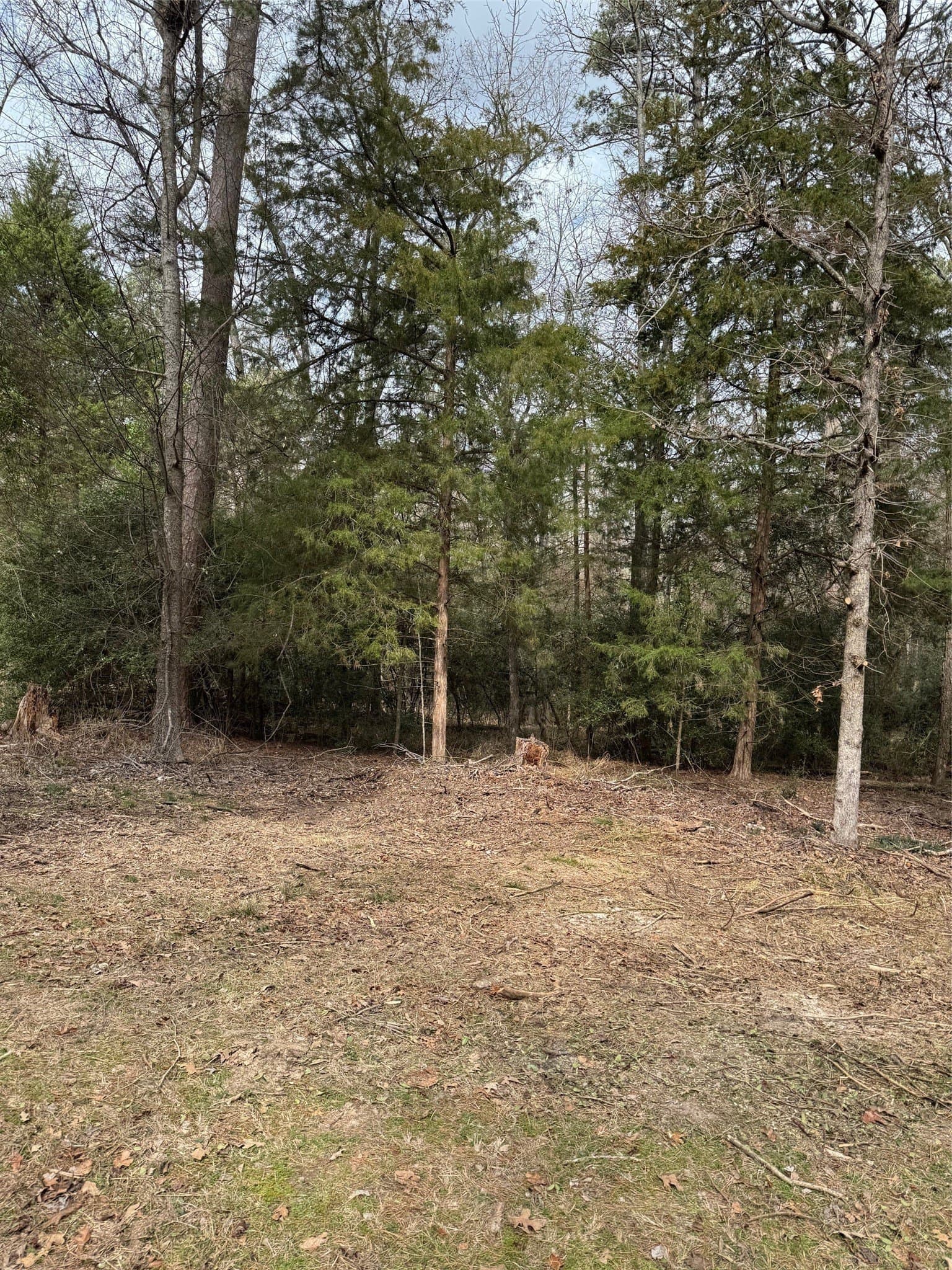 1 acres in Wood County - photo 6