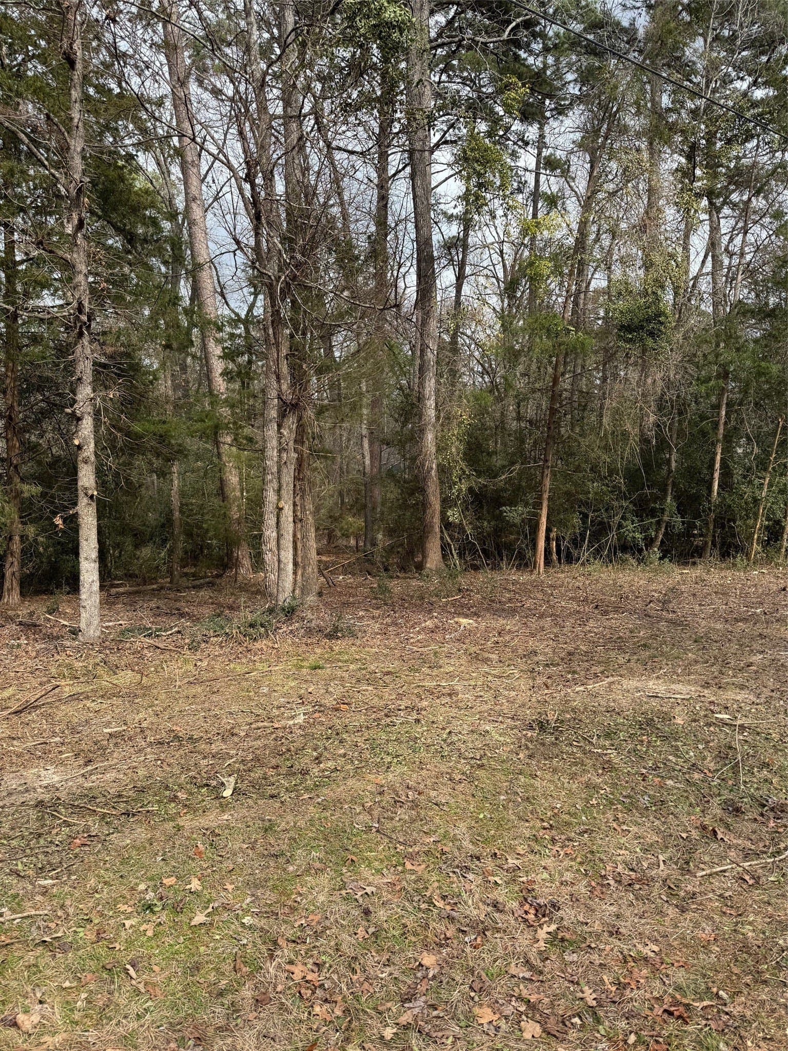 1 acres in Wood County - photo 5