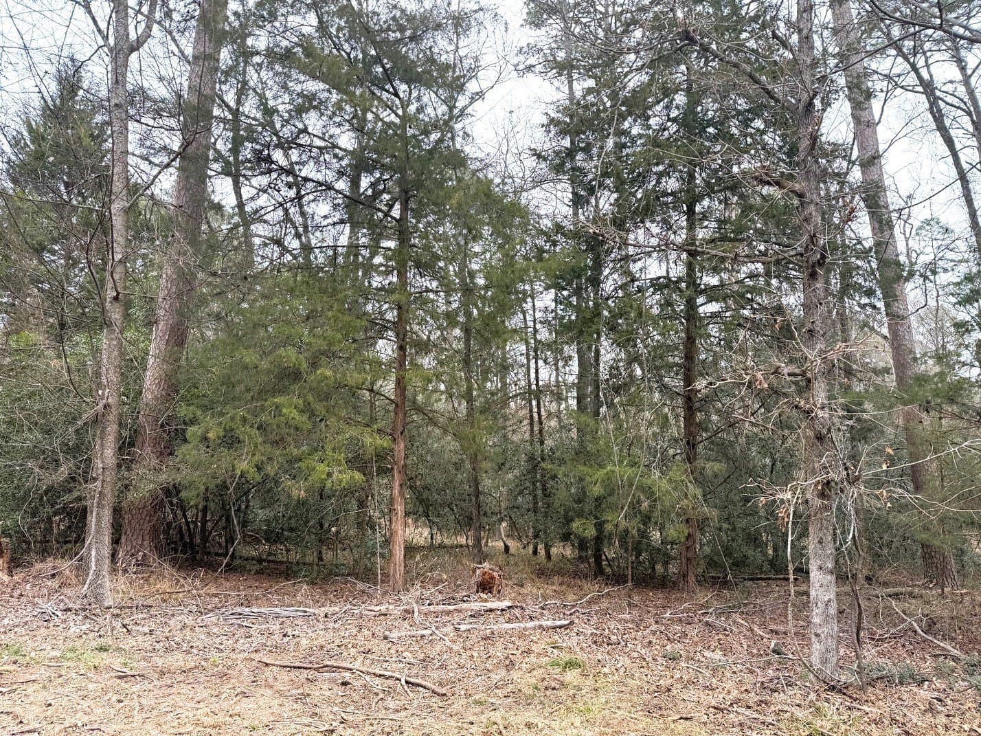 1 acres in Wood County