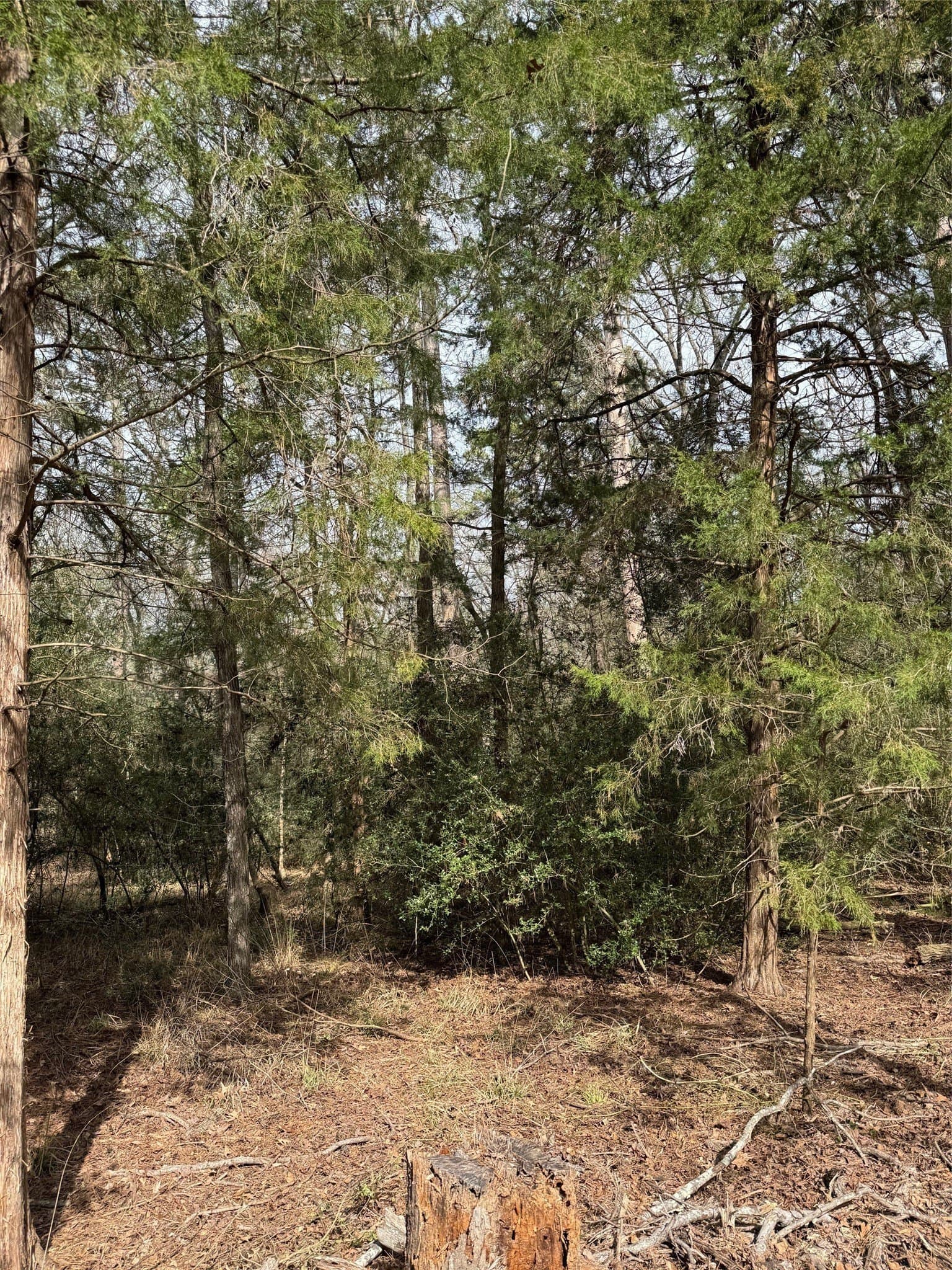 1 acres in Wood County - photo 7