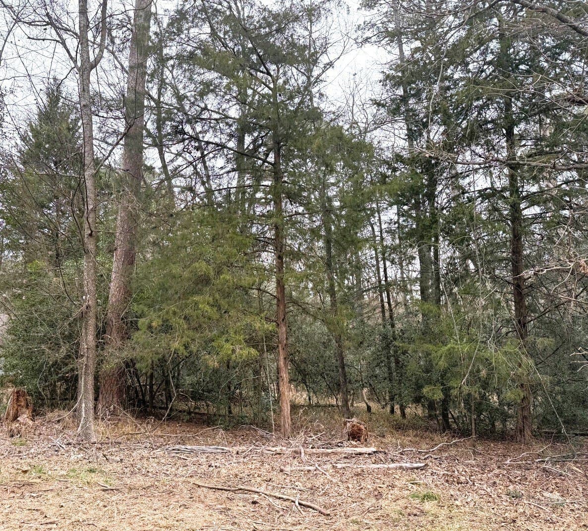 1 acres in Wood County - photo 4