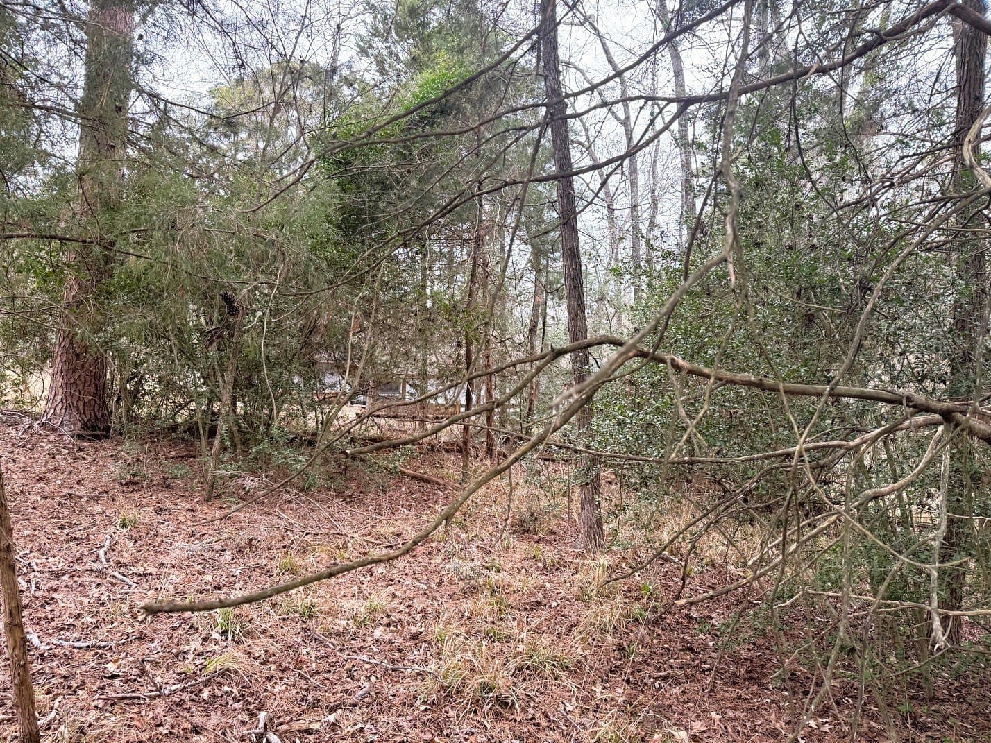 1 acres in Wood County - photo 3