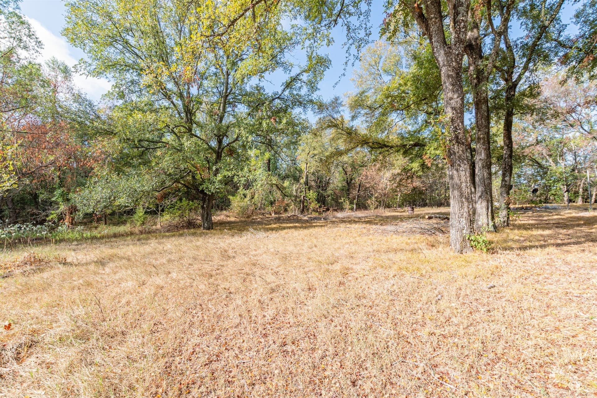 10.69 acres in Rains County - photo 36