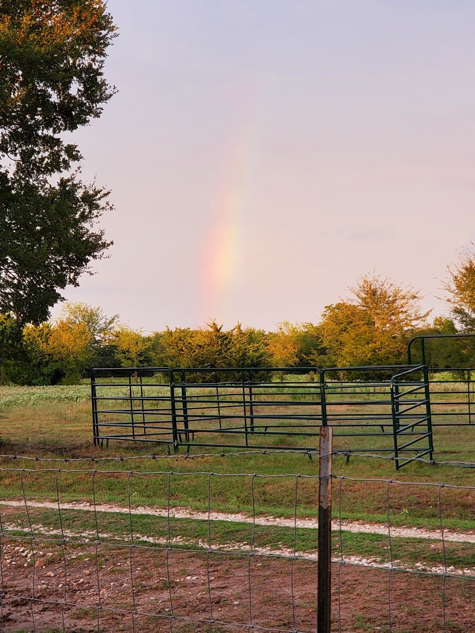 10.69 acres in Rains County - photo 31
