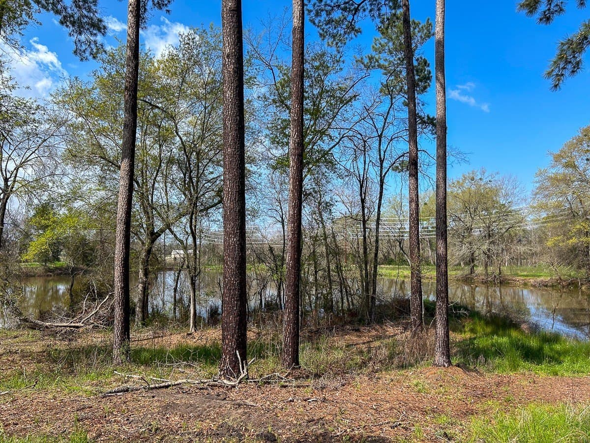 28.43 acres in Angelina County - photo 18