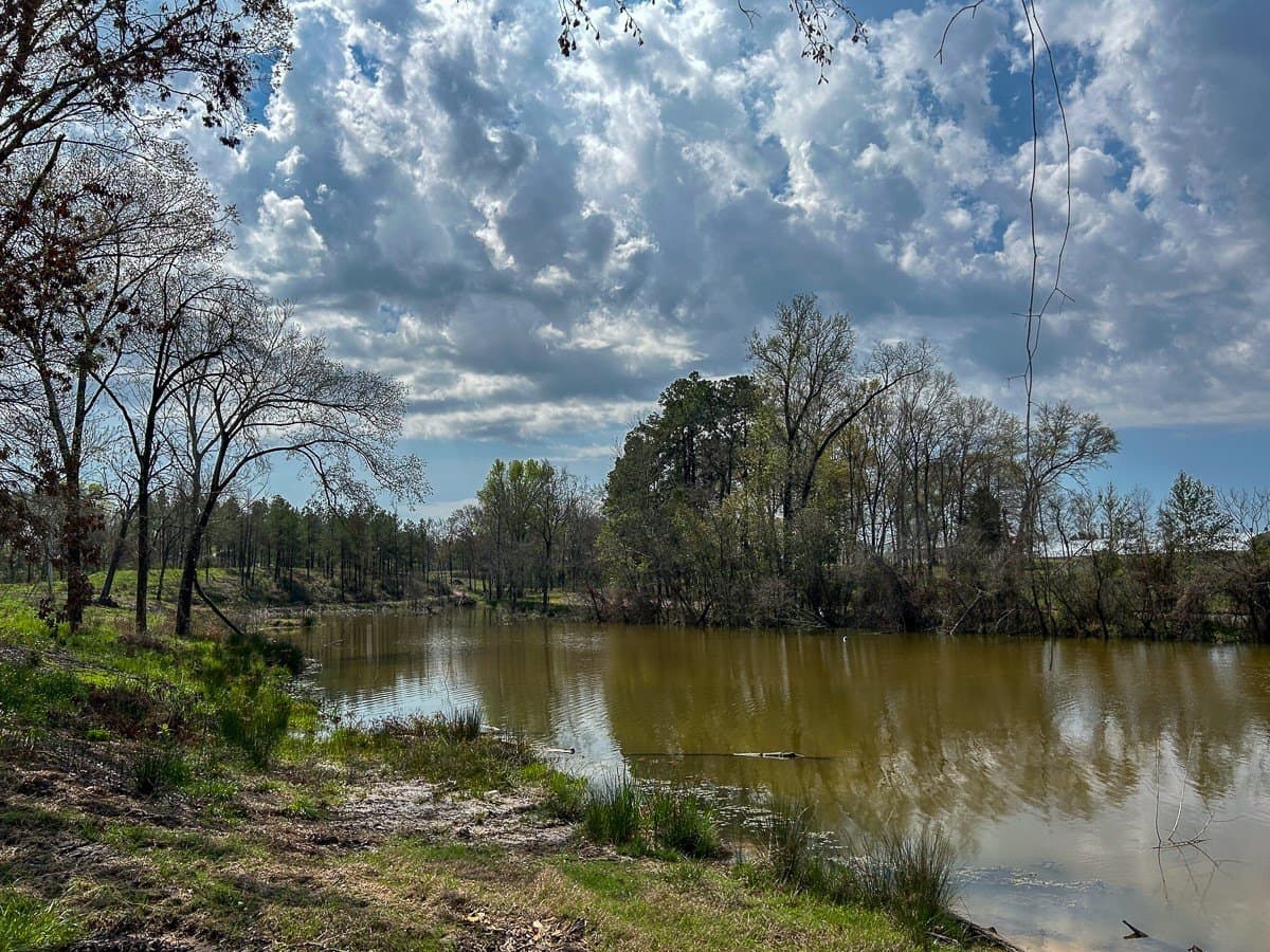 28.43 acres in Angelina County gallery image 3
