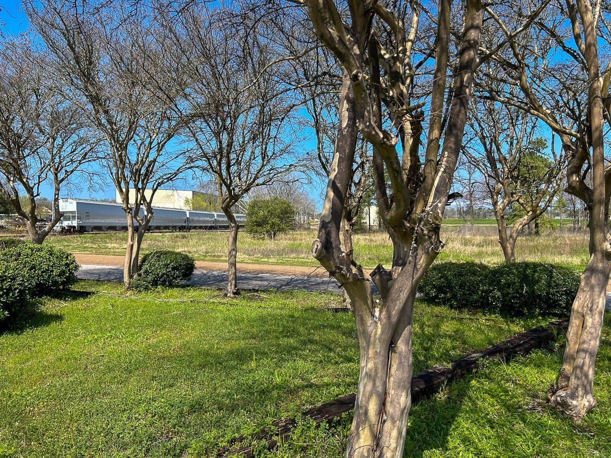 28.43 acres in Angelina County - photo 13