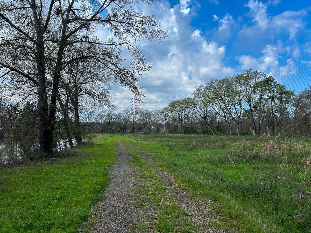28.43 acres in Angelina County - photo 19