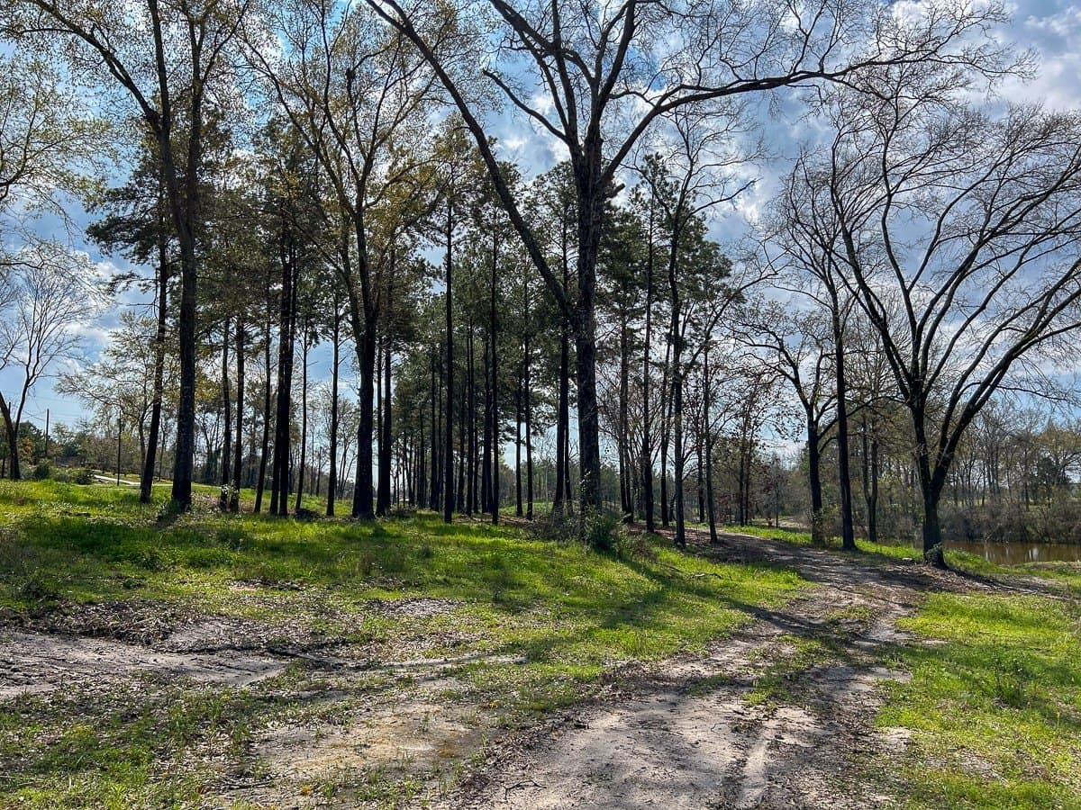 28.43 acres in Angelina County - photo 7
