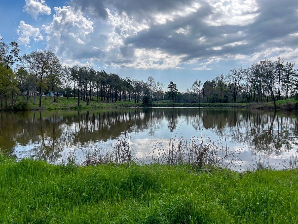 28.43 acres in Angelina County - photo 6