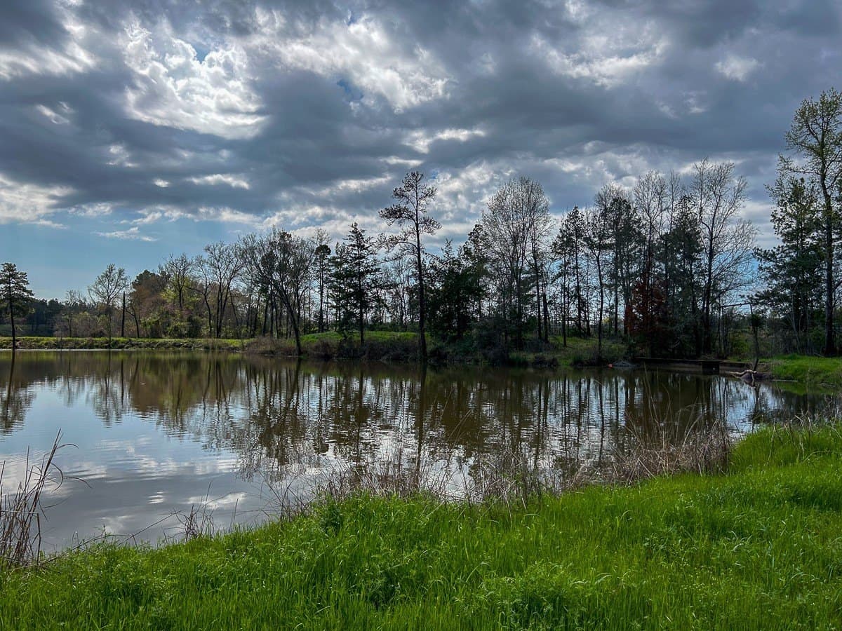 28.43 acres in Angelina County