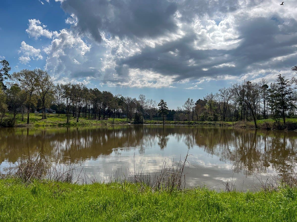 28.43 acres in Angelina County featured view