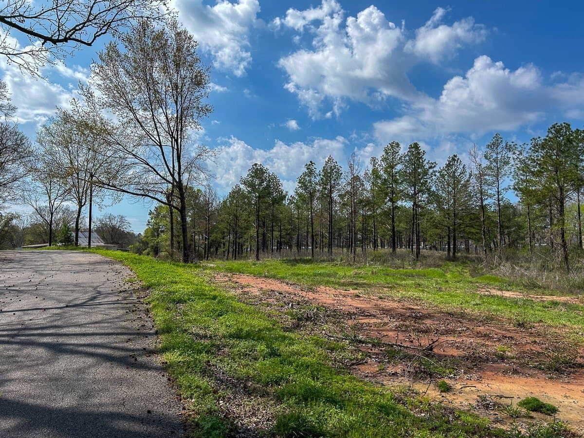 28.43 acres in Angelina County - photo 14