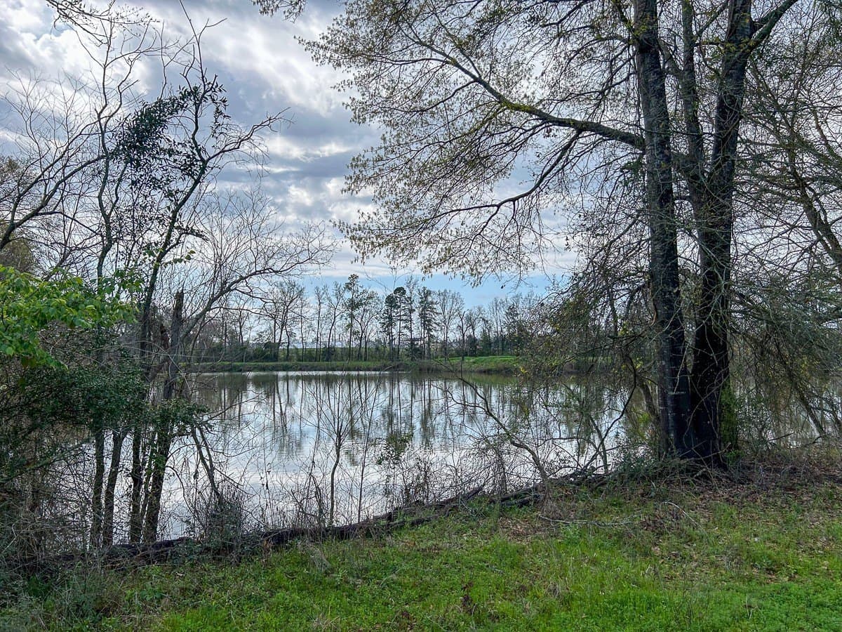 28.43 acres in Angelina County gallery image 4