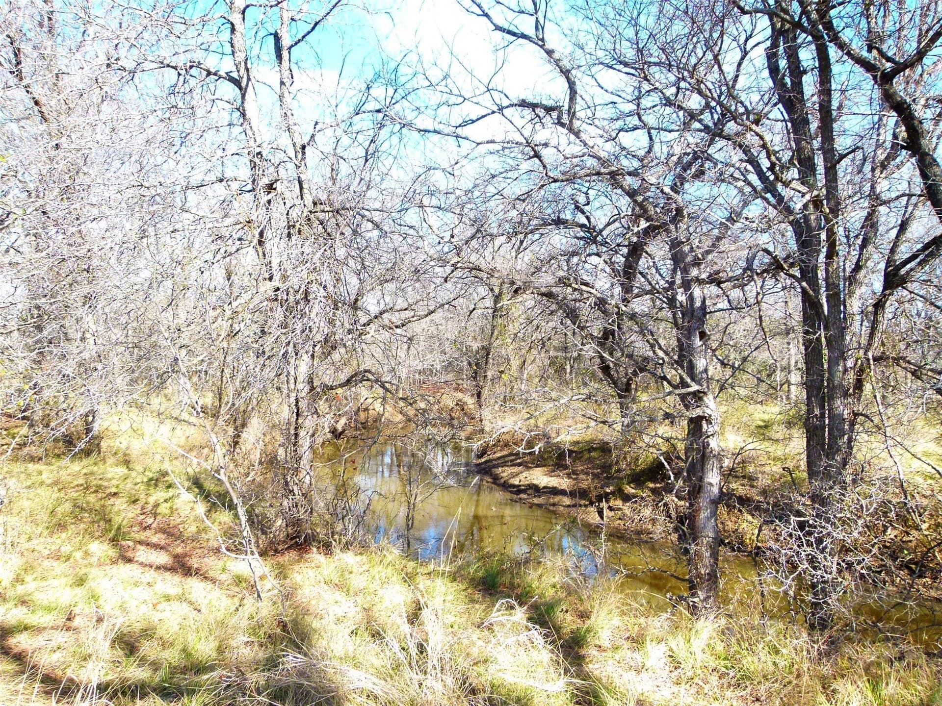 284 acres in Coleman County - photo 21