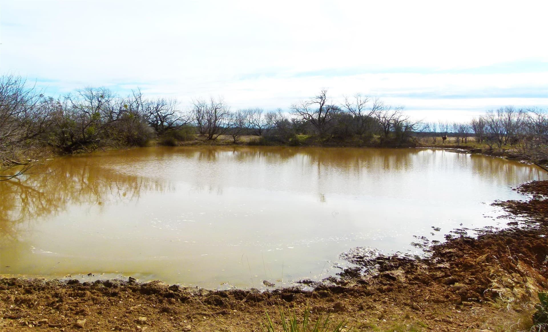 284 acres in Coleman County - photo 31