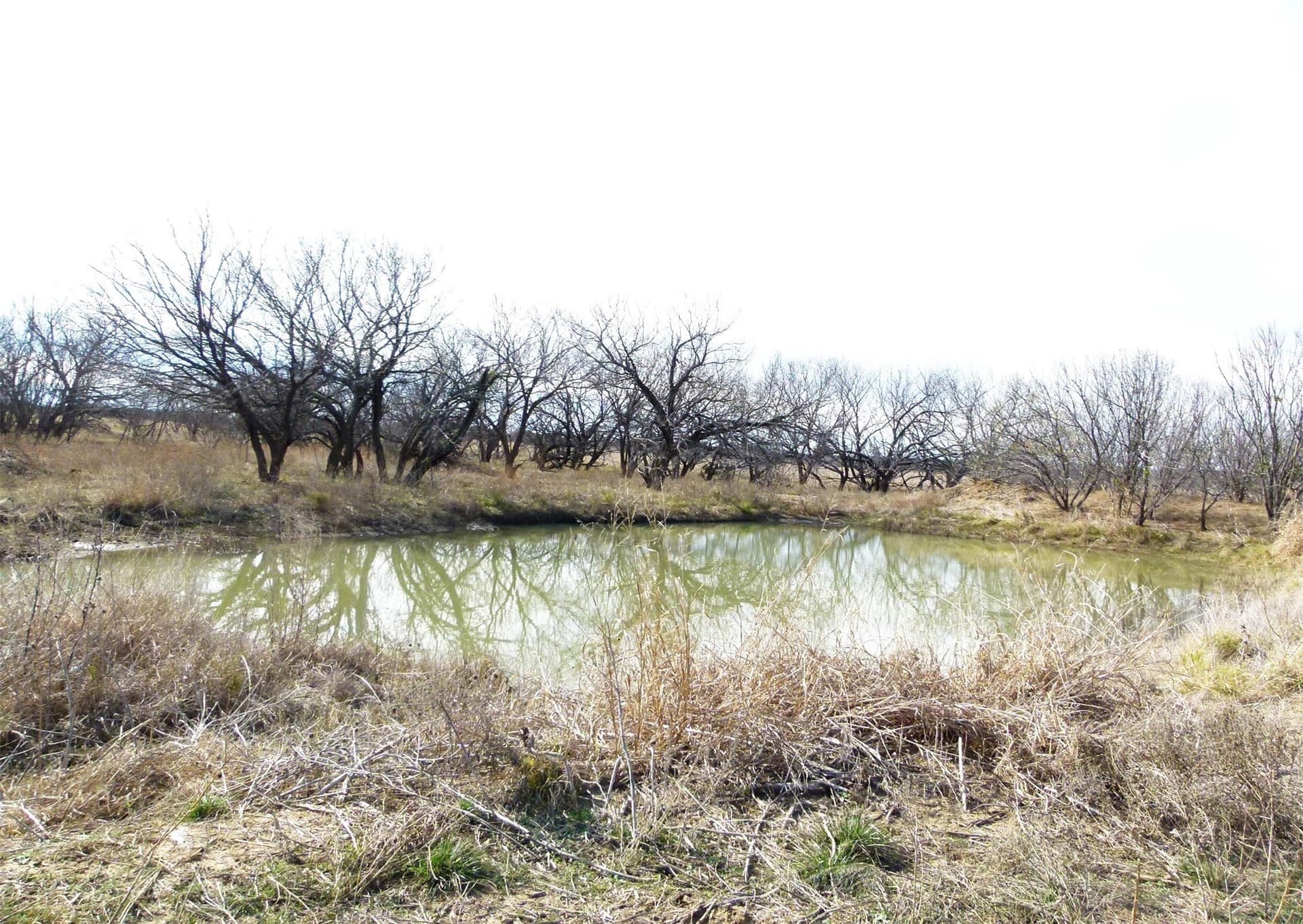 284 acres in Coleman County - photo 26