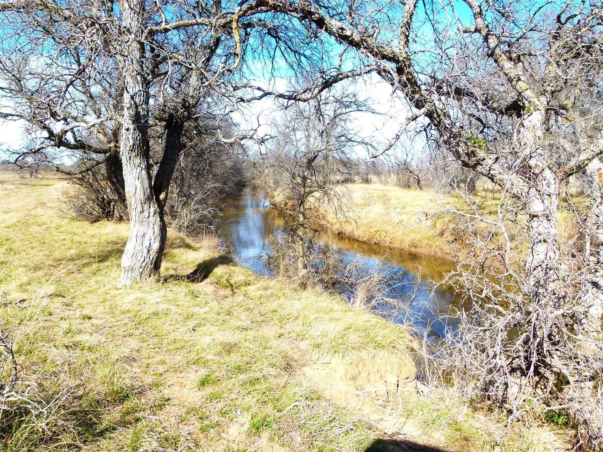 284 acres in Coleman County - photo 20