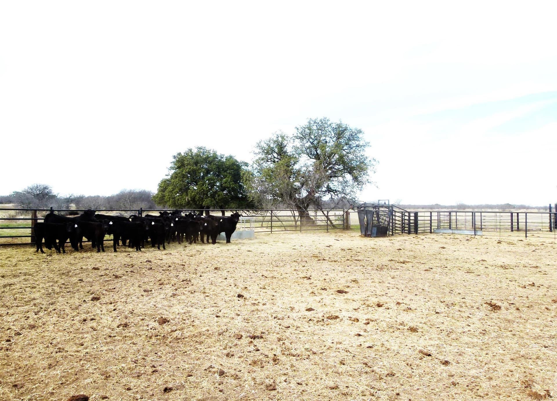 284 acres in Coleman County - photo 37