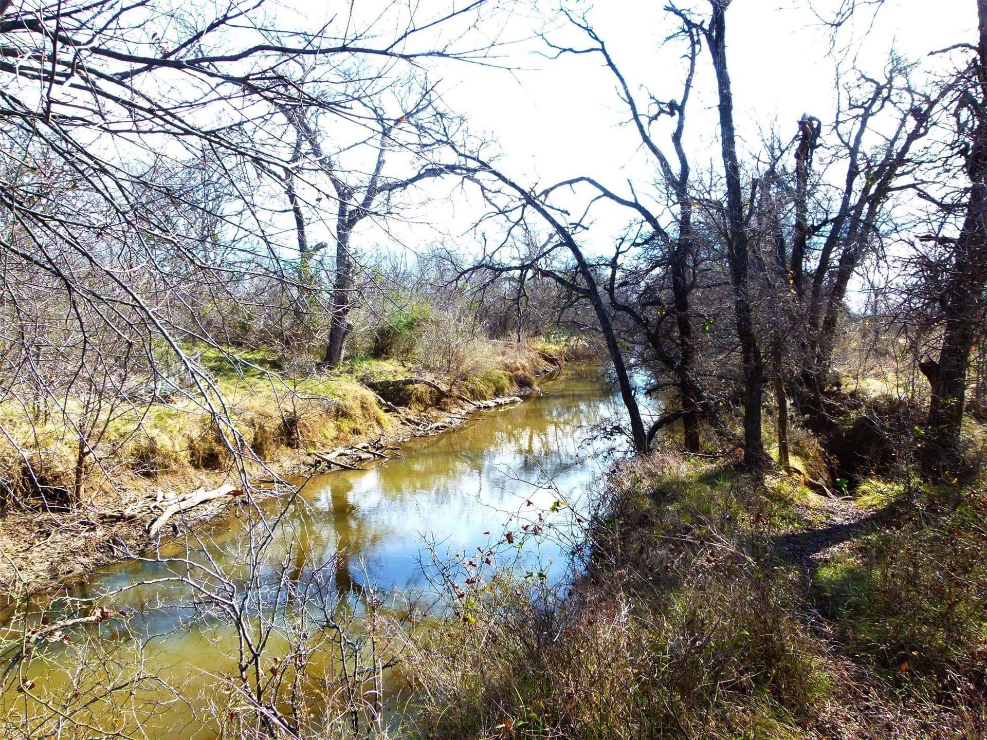 284 acres in Coleman County - photo 22