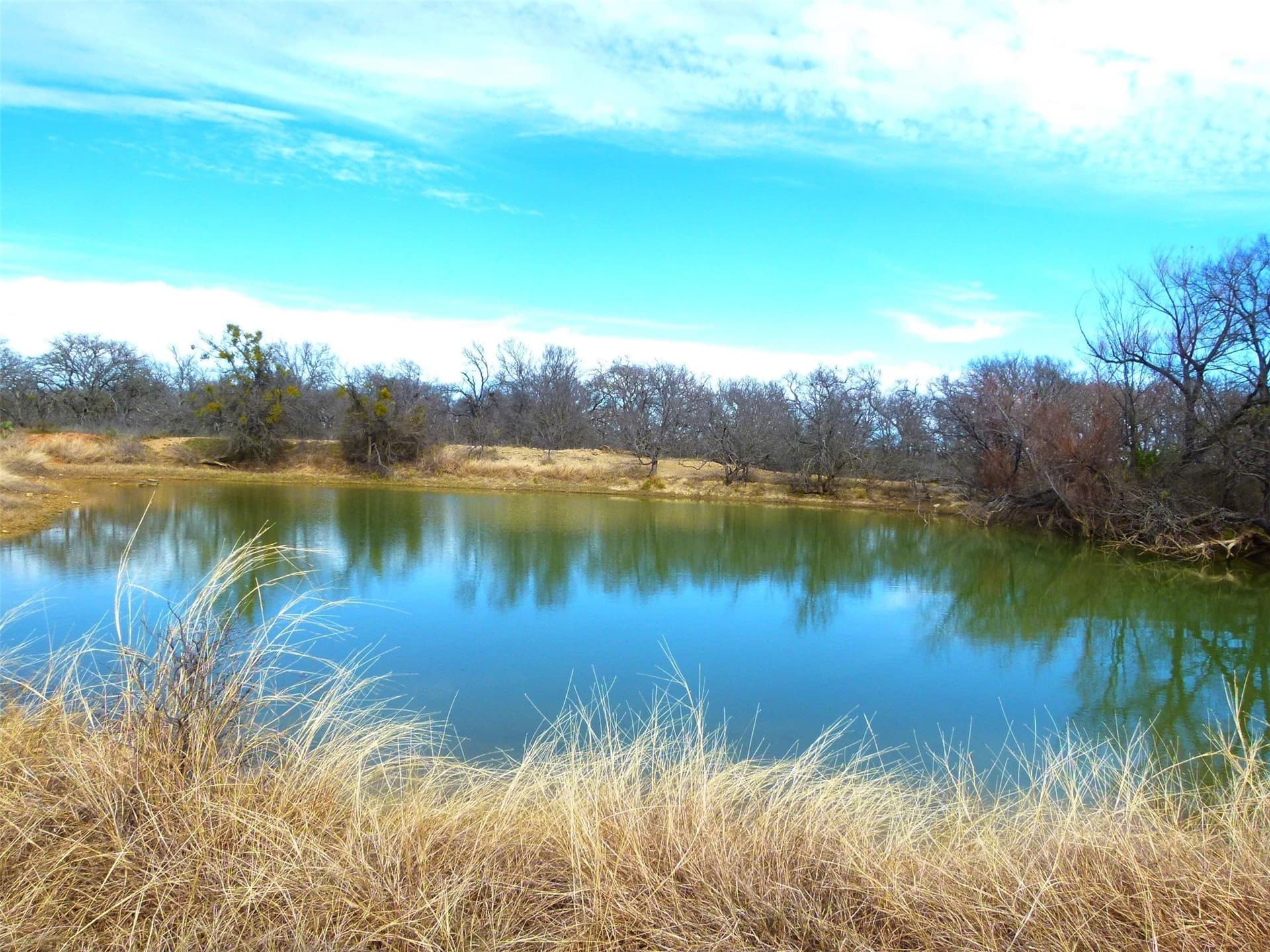 284 acres in Coleman County - photo 32