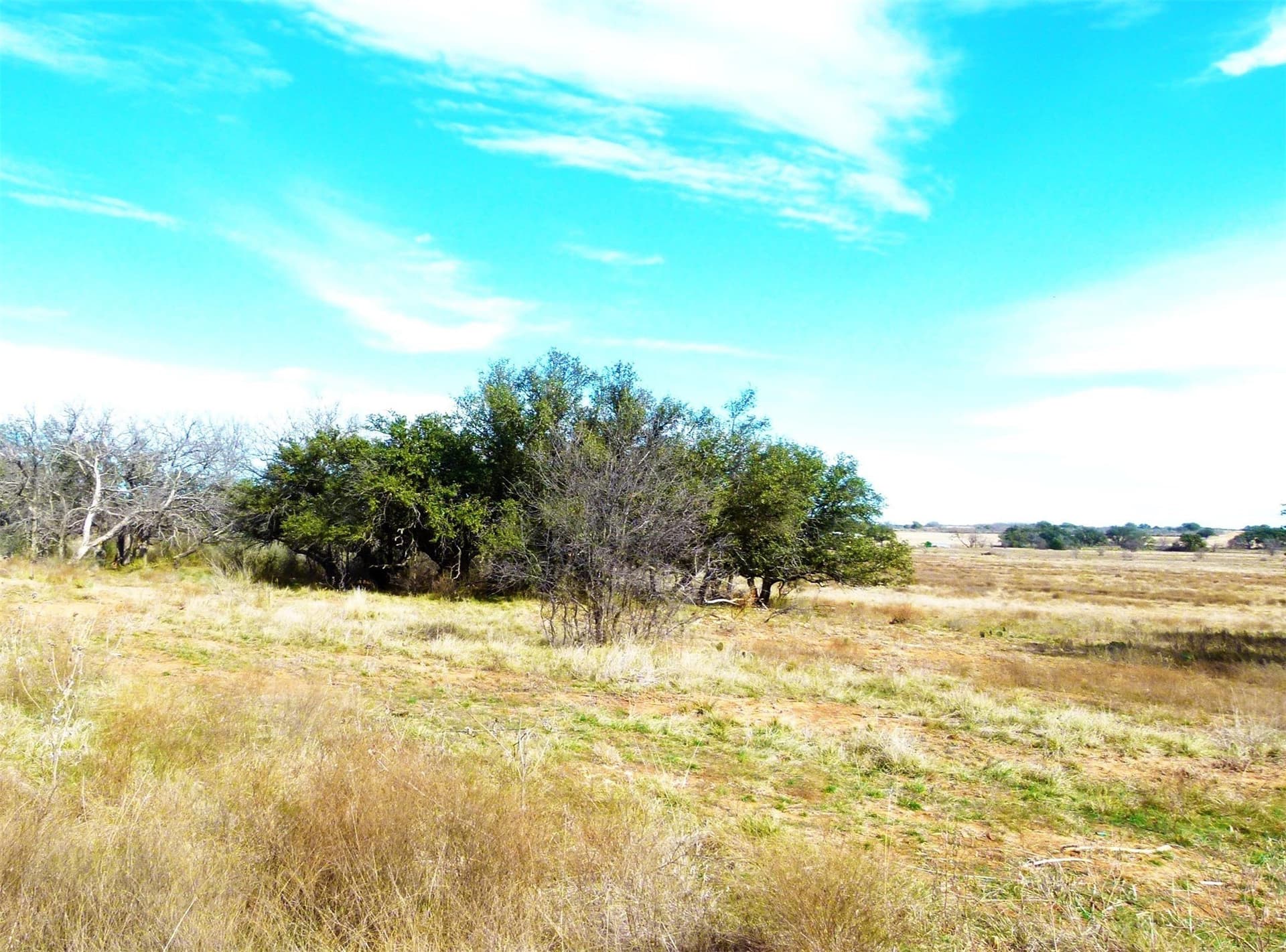 284 acres in Coleman County - photo 29