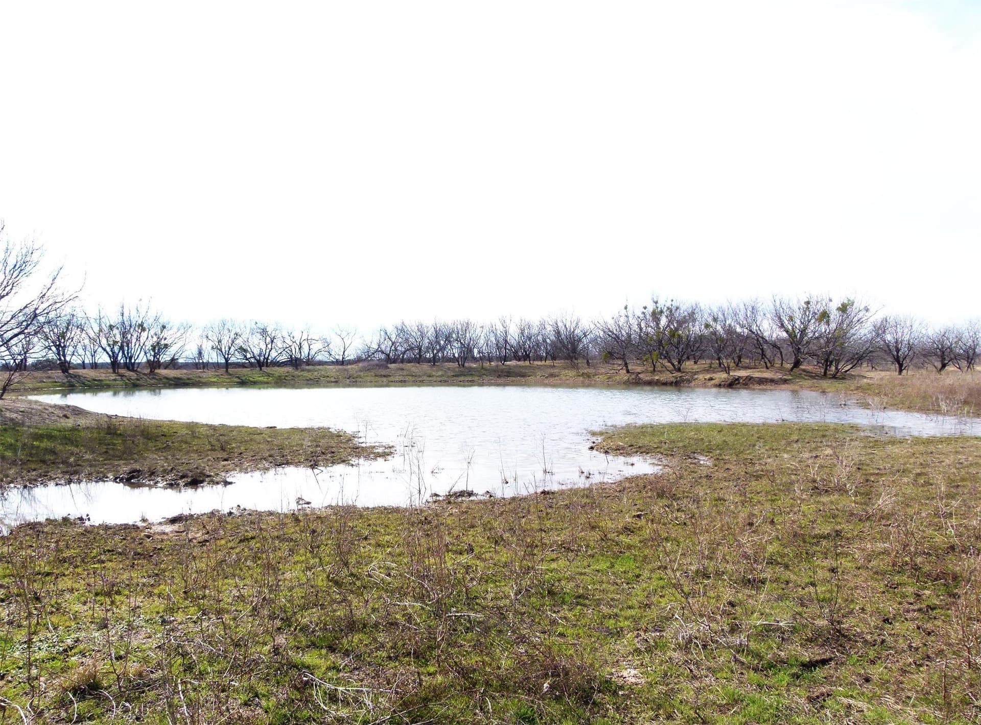 284 acres in Coleman County - photo 23