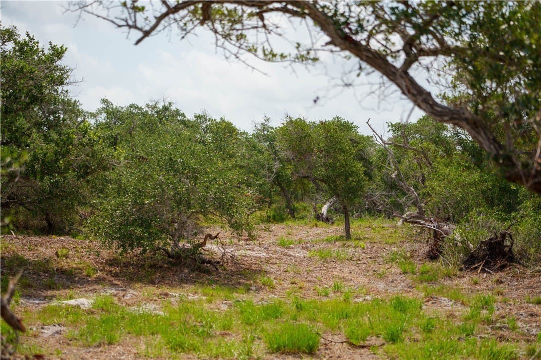 11.66 acres in Aransas County featured view