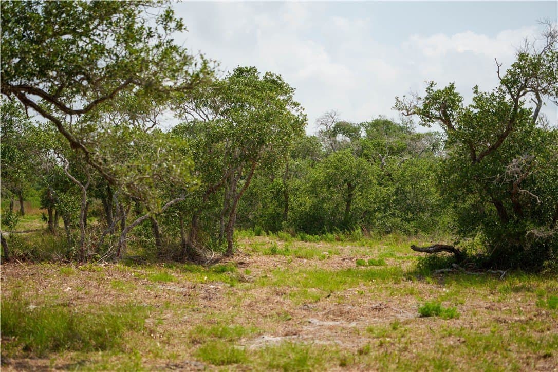 11.66 acres in Aransas County gallery image 2