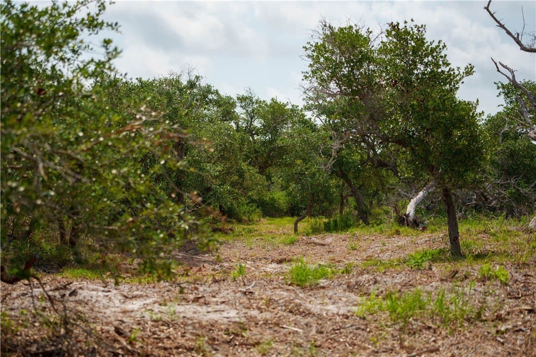 11.66 acres in Aransas County gallery image 4