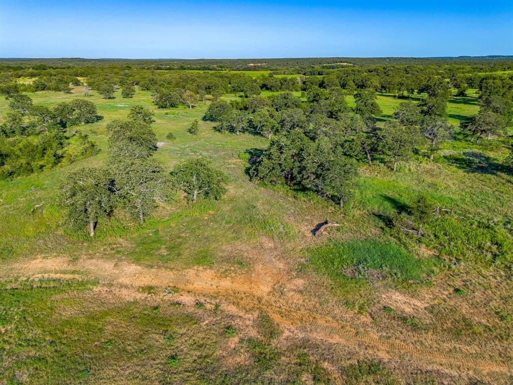 175 acres in Erath County gallery image 4