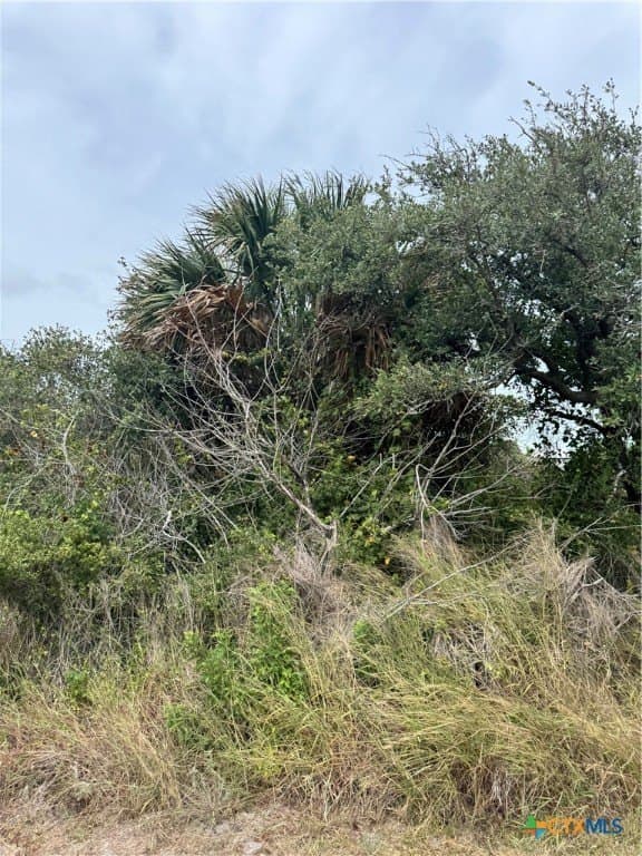 0.29 acres in Aransas County featured view