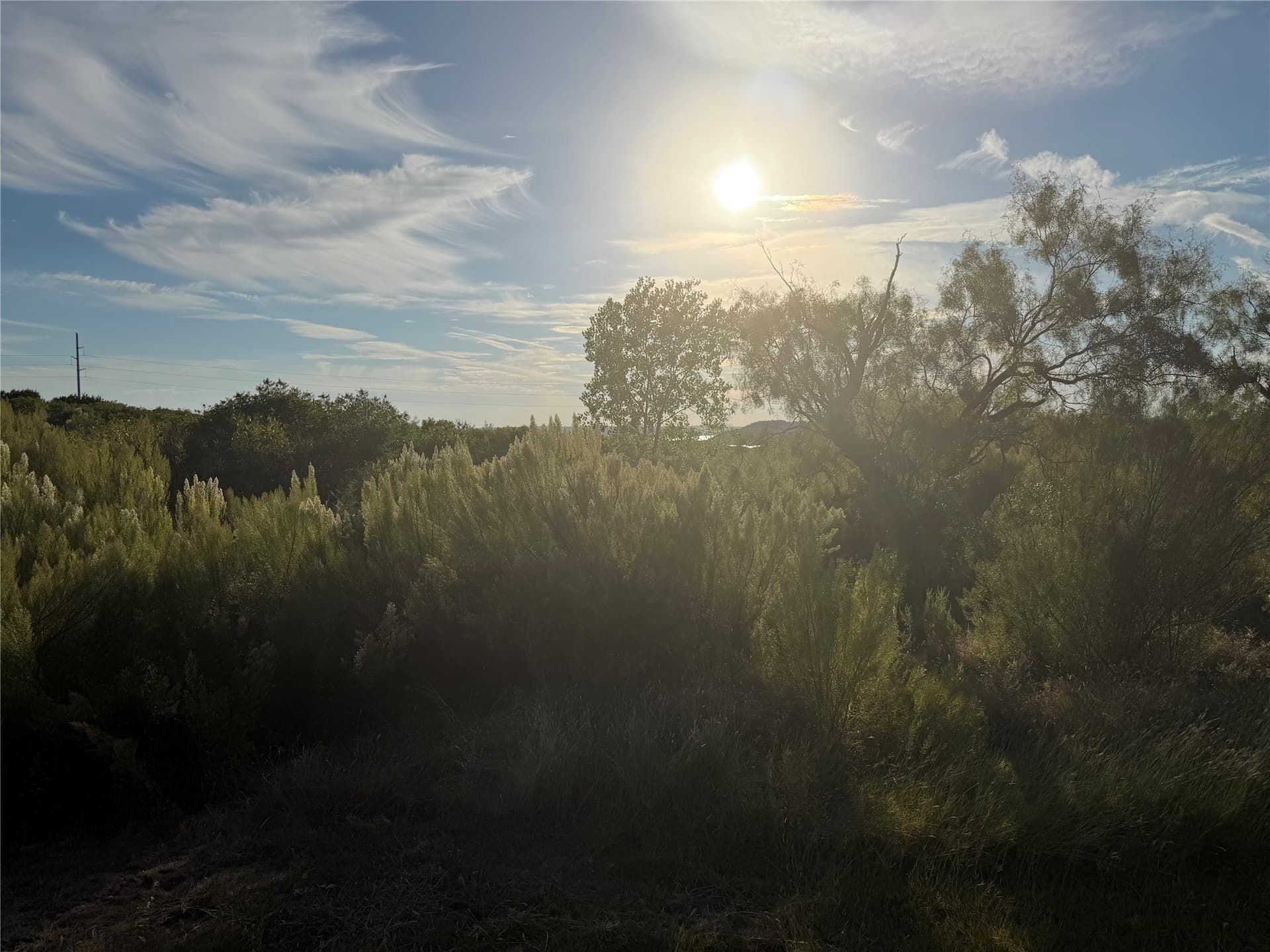 4.99 acres in Palo Pinto County - photo 4