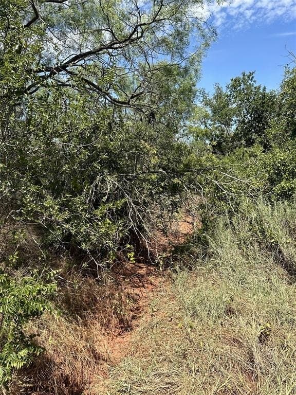 11.94 acres in Taylor County gallery image 2