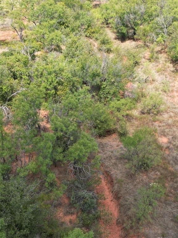 11.94 acres in Taylor County gallery image 3