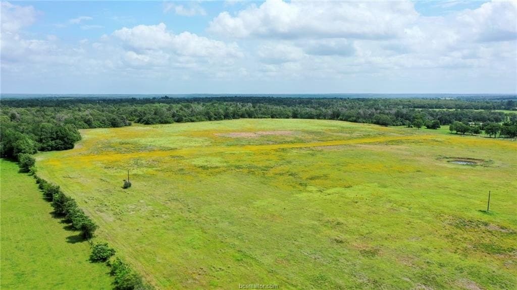 21 acres in Burleson County - photo 25