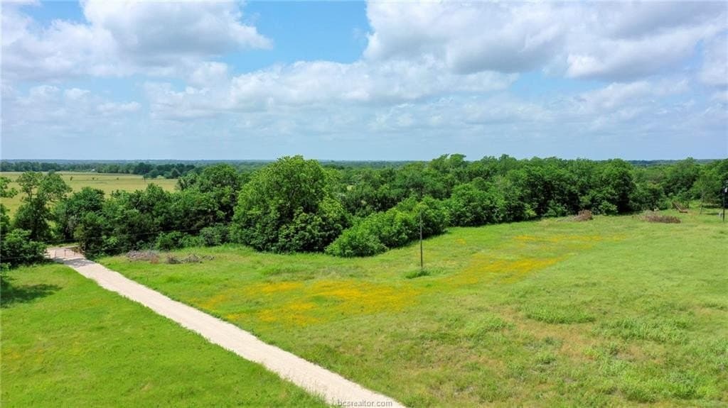 21 acres in Burleson County - photo 12