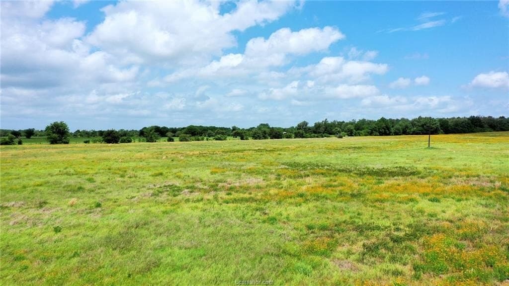 21 acres in Burleson County - photo 21