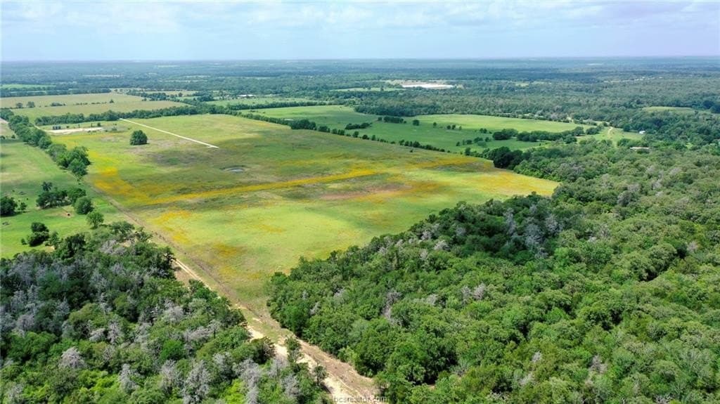 21 acres in Burleson County - photo 33