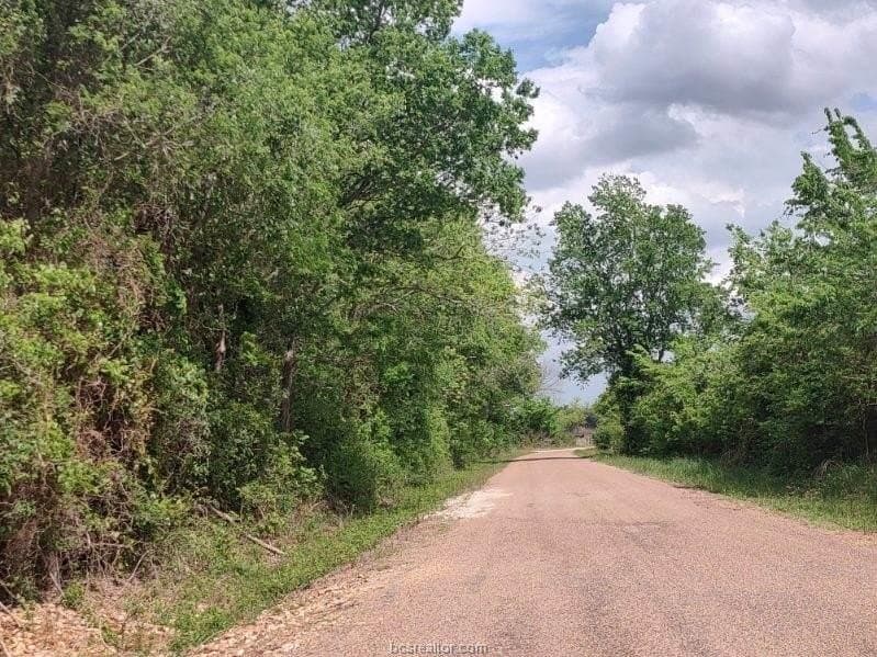 21 acres in Burleson County - photo 4