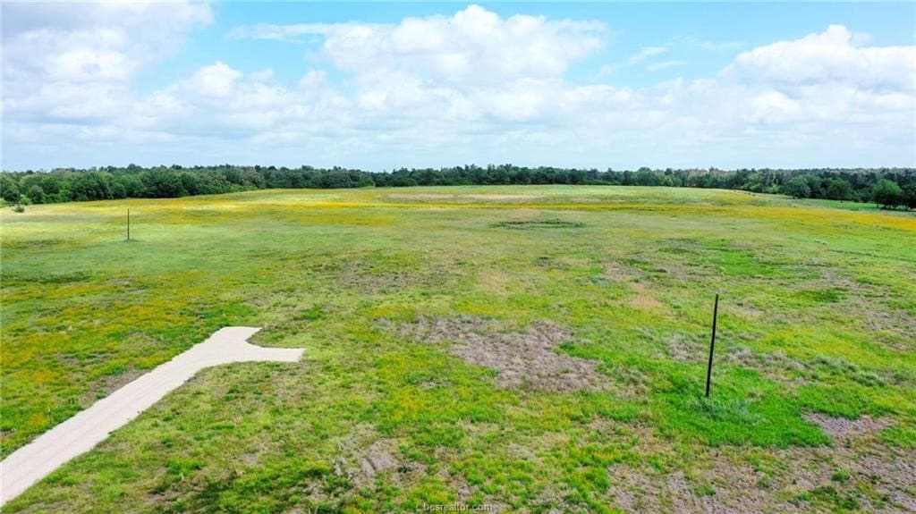 21 acres in Burleson County - photo 22