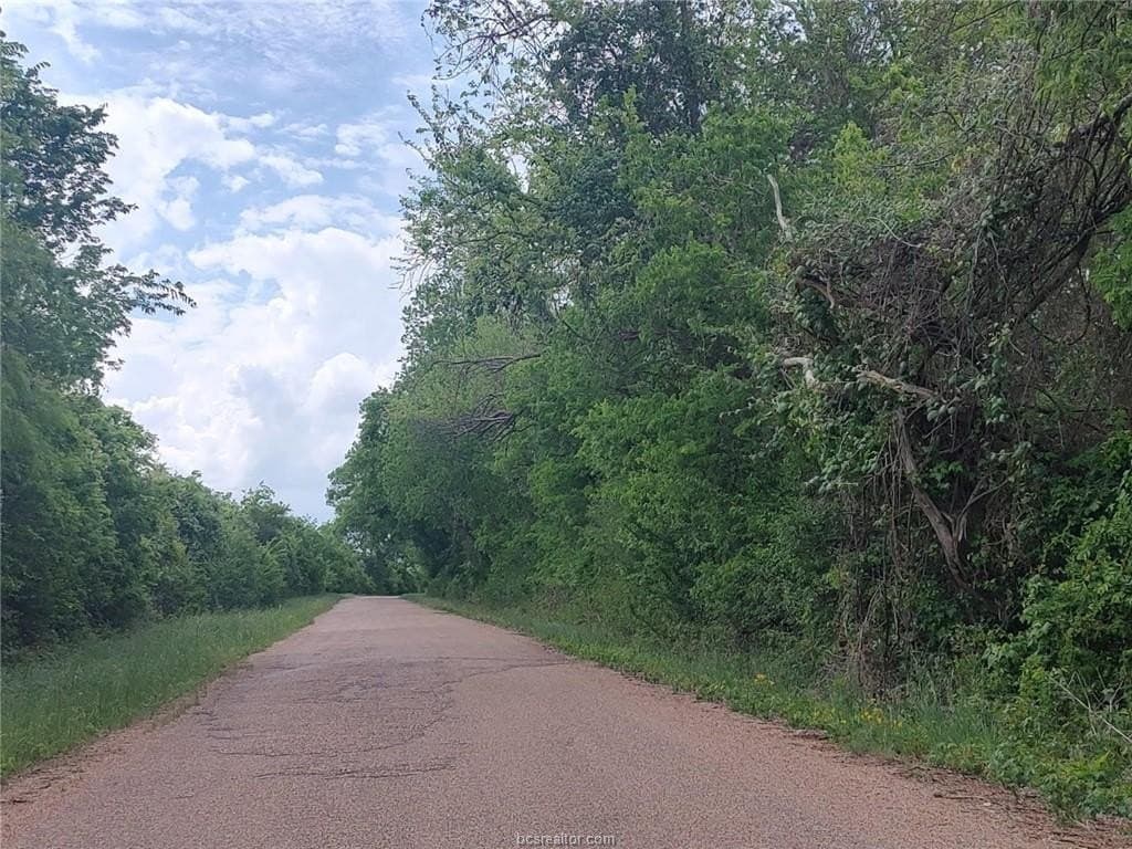 21 acres in Burleson County - photo 2