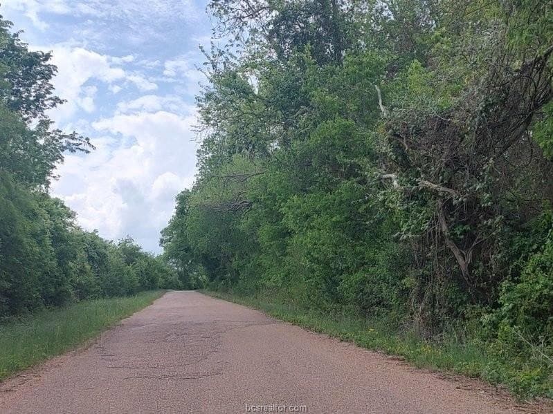 21 acres in Burleson County - photo 5