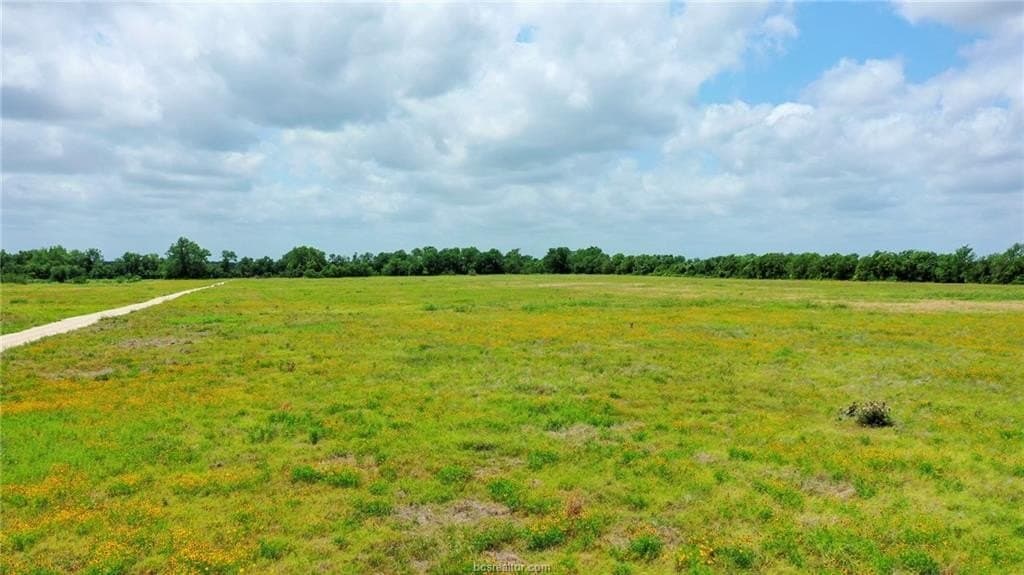 21 acres in Burleson County - photo 20