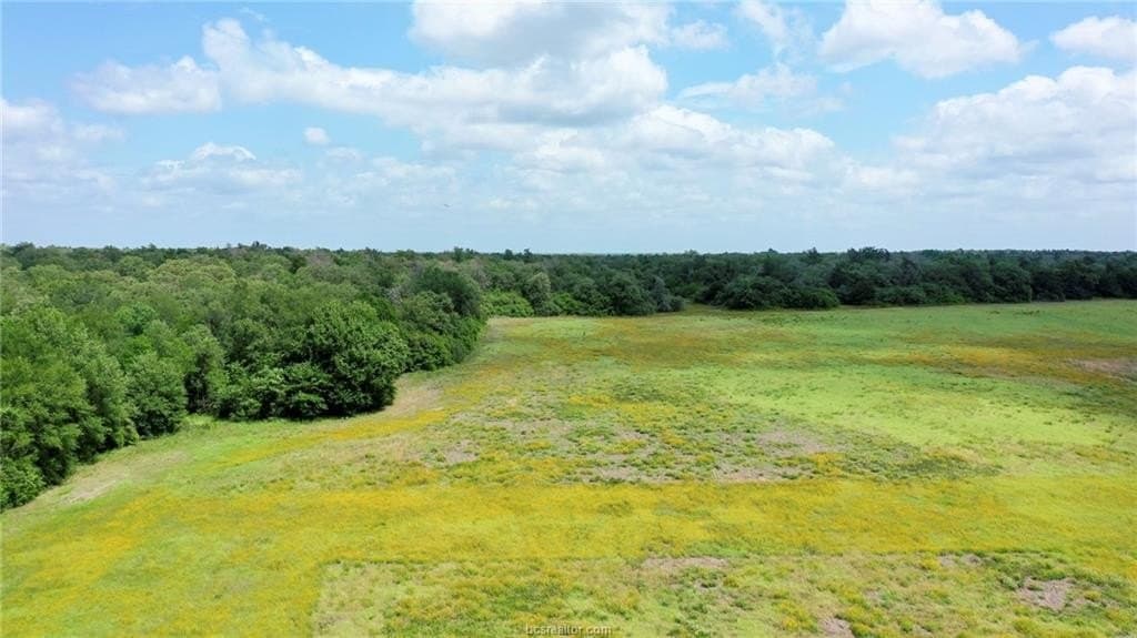 21 acres in Burleson County - photo 29