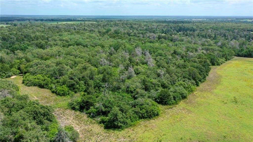 21 acres in Burleson County - photo 31